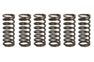 Пружины сцепления APRILIA RSV4 1000 FACTORY/RR '09-, V4 1000 TUONO '11-'14  TRW LUCAS MEF326-6