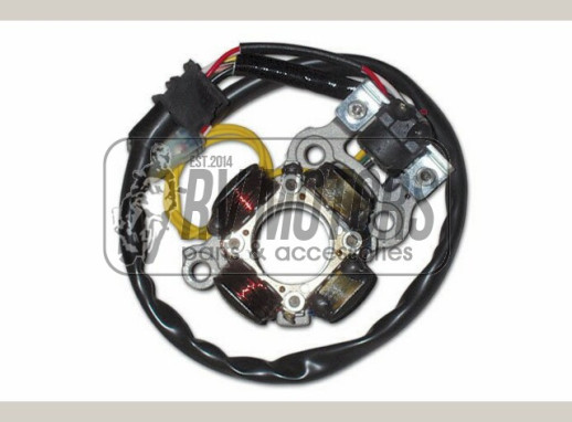 Генератор YAMAHA YZF 450 (06-09) ELECTREX ST4458L