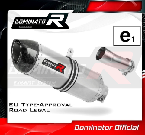 Прямоток DOMINATOR BMW R 1250 R HP1 2019 - 2020