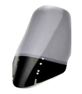 Ветровое стекло LOSTER Kawasaki KLV 1000 