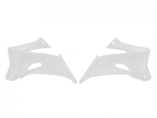 Бічний пластик YAMAHA YZF (06-09) RACETECH YA03882046RT