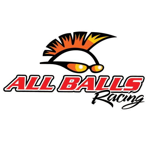 Ремкомплект вилки ALL BALLS 38-6105