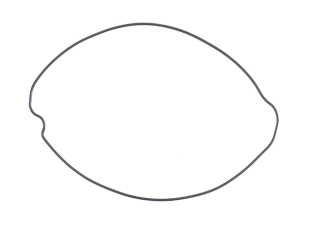 Прокладка крышки сцепления HONDA CR 250R '87-'01 (11395-KZ3-880) NAMURA NX-10025CG2