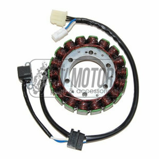Генератор SUZUKI LTA 450X '07-'09, LTA 500XP '09-'10 ELECTROSPORT ESG193