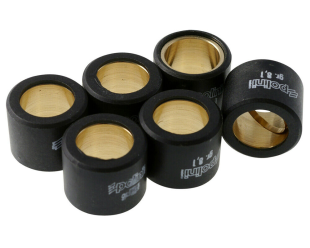 Ролики вариатора POLINI 046-92-81 19x15,5/8,1г 6шт золотой