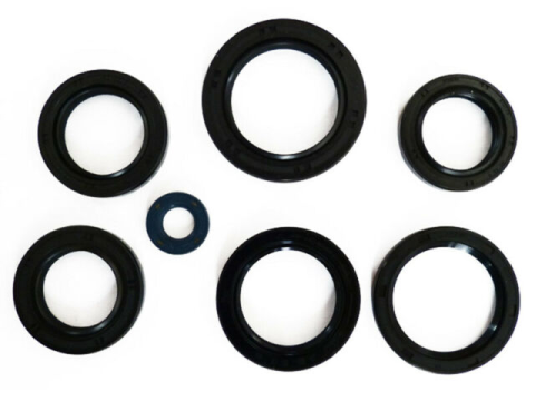 Комплект сальников двигателя YAMAHA YFM 660R RAPTOR '01-'05 ATHENA P400485400041