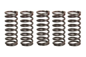 Пружины сцепления KAWASAKI KLX 450R '07-'18, KX 450F '06-'11  TRW LUCAS MEF310-5