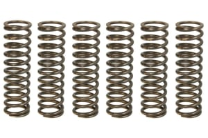 Пружины сцепления APRILIA ETV 1200 CAPONORD '13-'17, SMV 1200 DROSODURO '13-'17  TRW LUCAS MEF338-6