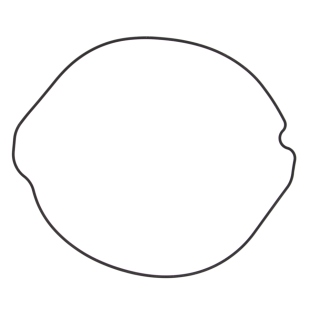 Прокладка крышки сцепления HONDA CR 250 84-01 (S410210008033) (ORING) WINDEROSA 817253