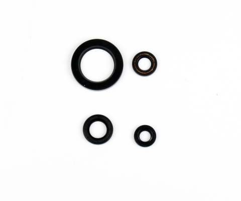 Комплект сальников двигателя YAMAHA XVS650 DRAG STAR '97-'03, CLASSIC '98-'03 ATHENA P400485400054