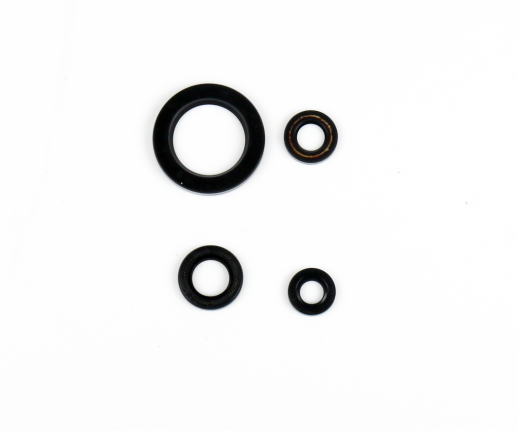 Комплект сальників двигуна YAMAHA XVS650 DRAG STAR '97-'03, CLASSIC '98-'03 ATHENA P400485400054