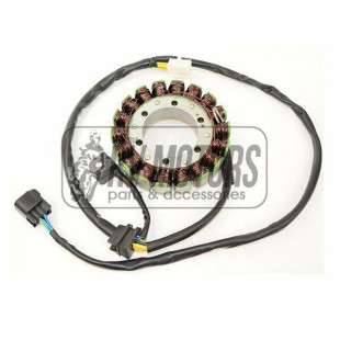 Генератор SUZUKI DR 650/SE (96-11)  ELECTROSPORT ESG309