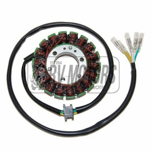 Генератор SUZUKI GS 1000 '78-'00, GSX 1100E '80-'81 ELECTROSPORT ESG021