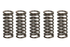 Пружины сцепления YAMAHA YZ 250F '05-'07  TRW LUCAS MEF304-5