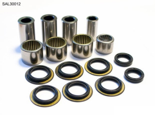 Ремкомплект прогрессии BEARING WORX SAL30012 (27-1045)