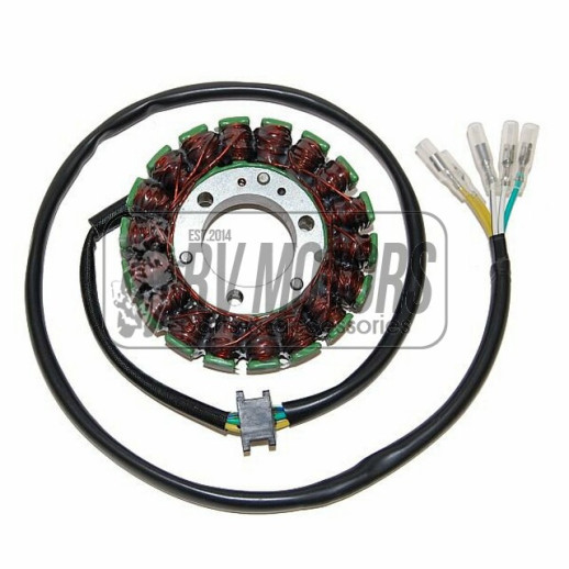 Генератор SUZUKI GS 1000G &#39;80-&#39;83, 1100G &#39;82-&#39;84, GSX 1150G &#39;83-&#39;86 ELECTROSPORT ESG024