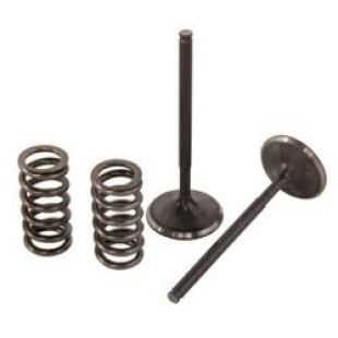 Клапан выпускной с пружиной KAWASAKI KX 450F '06-'08, KFX450R '08-'10 WISECO WVSKTT013