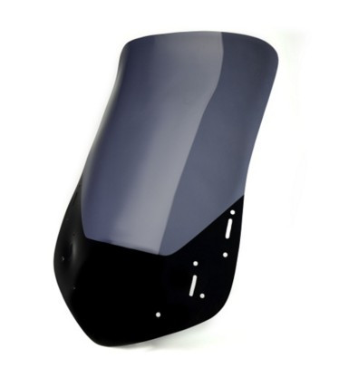 Вітрове скло LOSTER Honda CBF600 04-12 туристичне