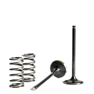 Клапан выпускной с пружиной SUZUKI RMZ 450 '07 WISECO WVSKTT010