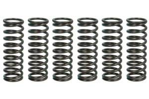 Пружины сцепления HONDA CB 1300 '03-'13  TRW LUCAS MEF332-6