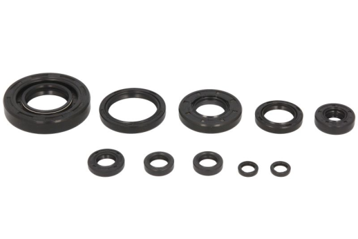 Комплект сальников двигателя YAMAHA YZ250 01 WINDEROSA 822174