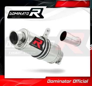 Прямоток DOMINATOR BMW K1300S GP 1