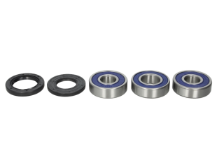 Подшипники оси колеса KAWASAKI KLZ, Z, ZX, ZX-10R, ZX-7R 750/1000 1989-2019 4 RIDE AB25-1281