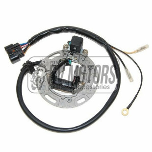 Генератор KAWASAKI KX 85/100 '01-'05 ELECTROSPORT ESC1366