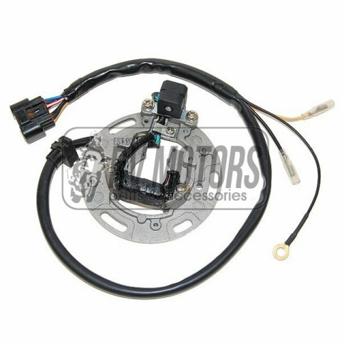 Генератор KAWASAKI KX 85/100 '01-'05 ELECTROSPORT ESC1366