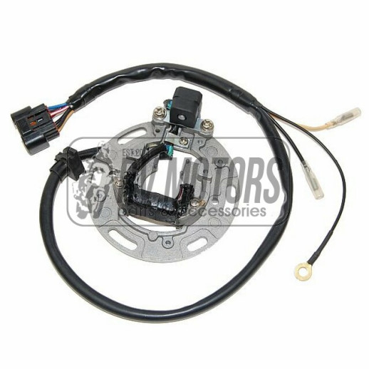 Генератор KAWASAKI KX 85/100 &#39;01-&#39;05 ELECTROSPORT ESC1366