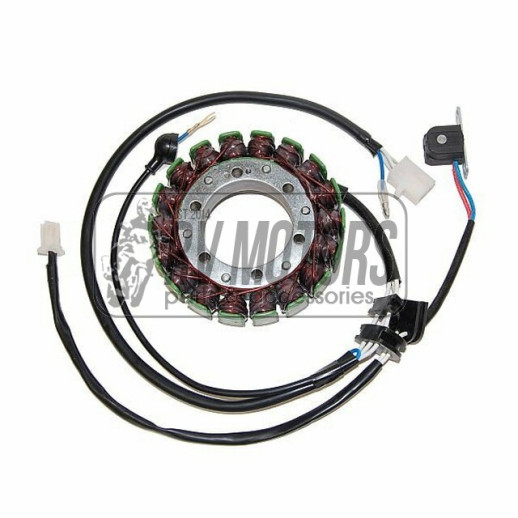 Генератор YAMAHA XV 750 VIRAGO &#39;88-&#39;97, XV 1100 VIRAGO &#39;86-&#39;99 ELECTROSPORT ESG079