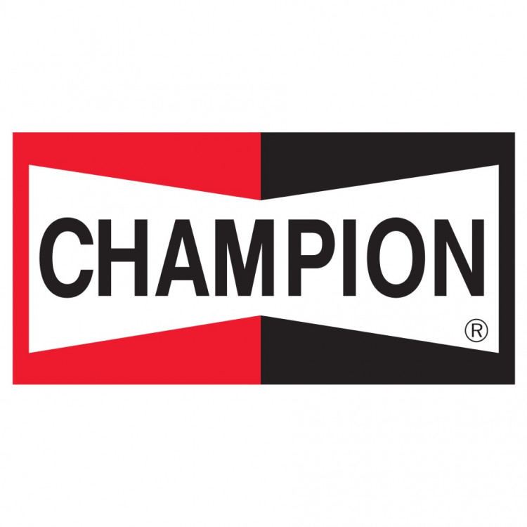 Воздушный фильтр BMW S 1000 2010-2019 Champion CAF6919