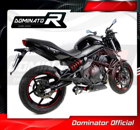 Прямоток DOMINATOR KAWASAKI ER-6N 650 GP 1 2009 - 2011
