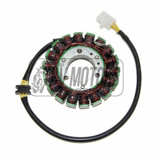 Генератор KAWASAKI EN 450/454LTD '85-'90, EN 500 VULCAN '90-'09, EX 500 NINJA 500R '87-'09 ELECTROSPORT ESG110