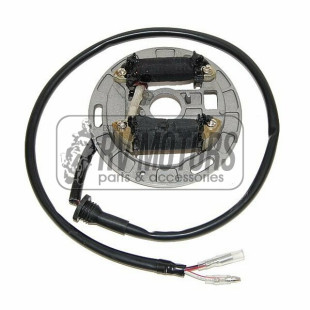 Генератор SUZUKI LT80 Quadsport (87-06) ELECTROSPORT ESL312