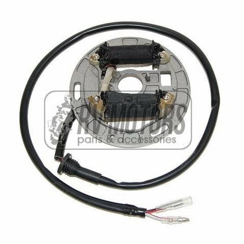 Генератор SUZUKI LT80 Quadsport (87-06) ELECTROSPORT ESL312