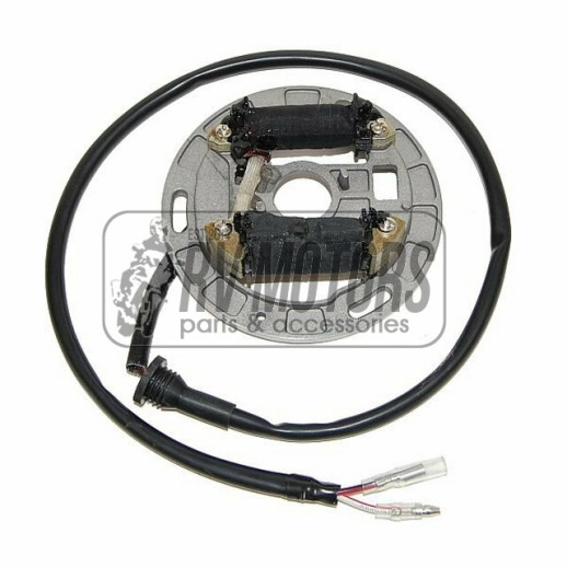 Генератор SUZUKI LT80 Quadsport (87-06) ELECTROSPORT ESL312