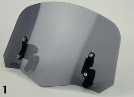 Спойлер на скло Loster ZR1