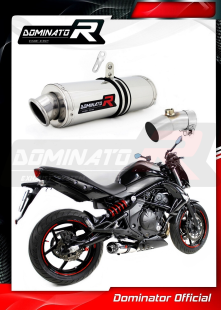 Прямоток DOMINATOR KAWASAKI ER-6N 650 2009 - 2011 овальный