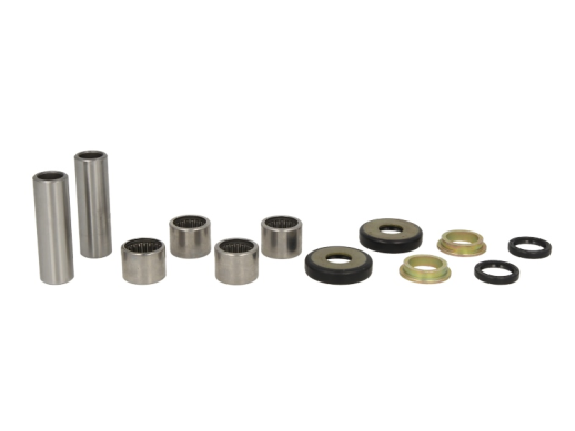 Ремкомплект прогресії CAN-AM DS 450 2008-4 RIDE AB28-1198