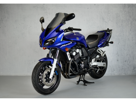 Ветровое стекло LOSTER Yamaha FZS 600 02-03 model II