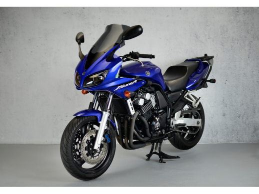 Вітрове скло LOSTER Yamaha FZS 600 02-03 model II