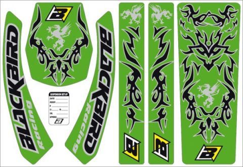 Комплект наклеек BLACKBIRD GRYPHON E5417