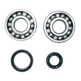 Комплект подшипников коленвала SUZUKI RM 125 '92-'08 ATHENA P400510444002