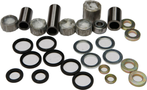 Ремкомплект прогресії BEARING WORX SAL30011 (27-1029)