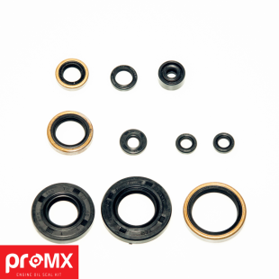 Комплект сальников двигателя KAWASAKI KX 250 (05-07) (10 шт) PROMX PR0203