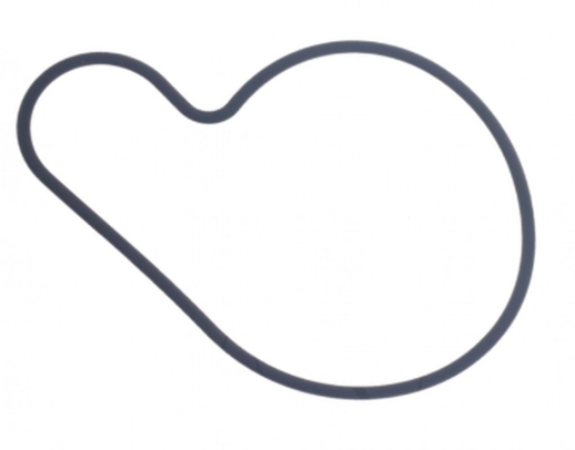 Прокладка водяной помпы  SUZUKI AN 250 BURGMAN '98-'06, AN 400 BURGMAN '99-'06, RM-Z 250 '04-'06, UC/UH 125 '99-'03  ATHENA S410510024030