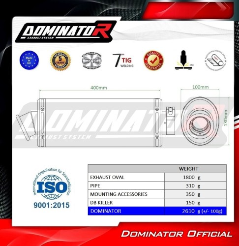 Прямоток BMW F650GS 2004 - 2007 DOMINATOR овальный