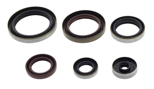 Комплект сальників двигуна BETA 250/300 RR '14-'15 ATHENA P400060400011