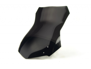 Ветровое стекло LOSTER BMW F 650 GS 04-07